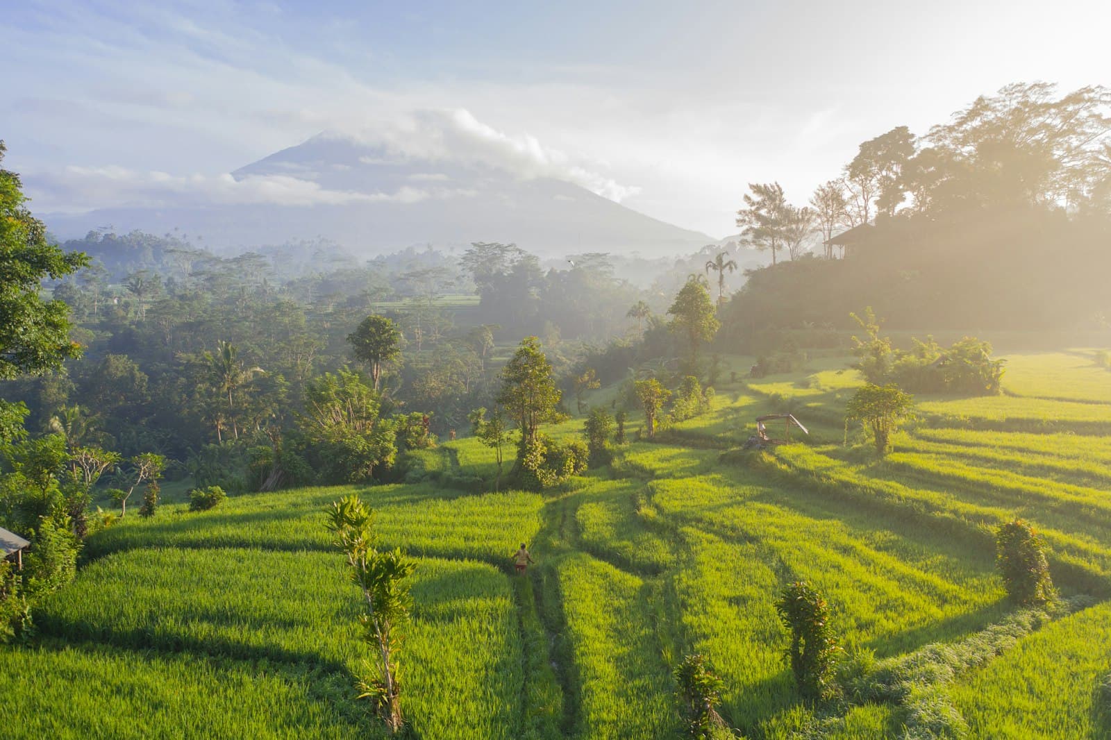 Rice terraces below Mount Agung, Bali